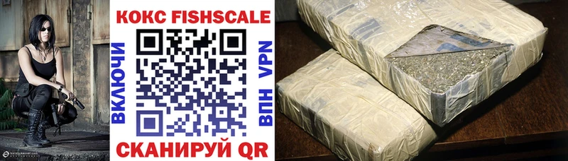 COCAIN Fish Scale Вязники
