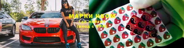 стафф Кинешма