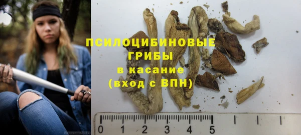 стафф Кинешма