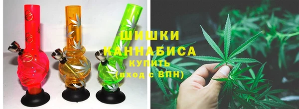 стафф Кинешма