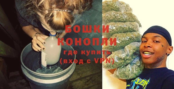 бошки Снежногорск