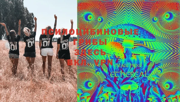 дживик Киреевск