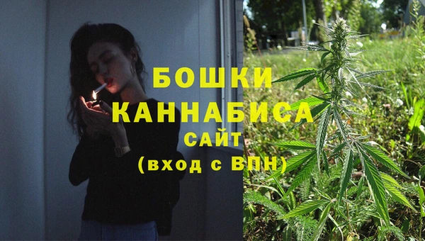 эйфоретик Карпинск