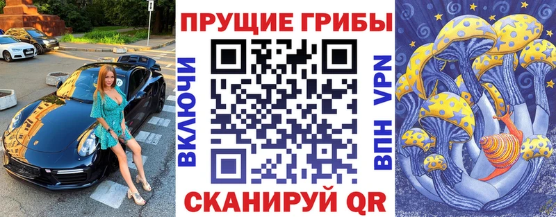 Купить закладки  Вязники  Галлюциногенные грибы GOLDEN TEACHER 